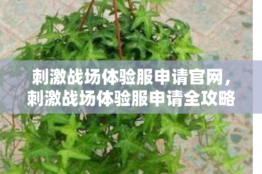 刺激战场体验服申请官网,刺激战场体验服申请全攻略,如何成功加入测试行列? 刺激战场体验服申请官网,刺激战场体验服申请全攻略,如何成功加入测试行列?