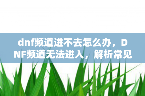 dnf频道进不去怎么办，DNF频道无法进入，解析常见问题与解决方案