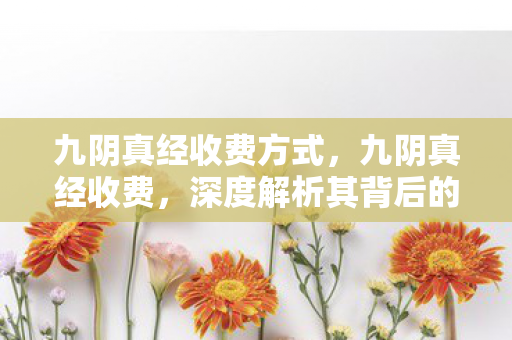 九阴真经收费方式,九阴真经收费,深度解析其背后的商业模式与玩家体验 九阴真经收费方式,九阴真经收费,深度解析其背后的商业模式与玩家体验