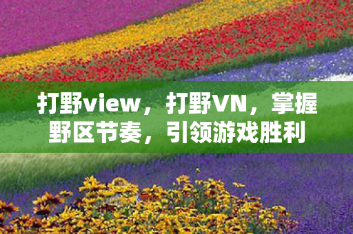 打野view,打野VN,掌握野区节奏,引领游戏胜利 打野view,打野VN,掌握野区节奏,引领游戏胜利