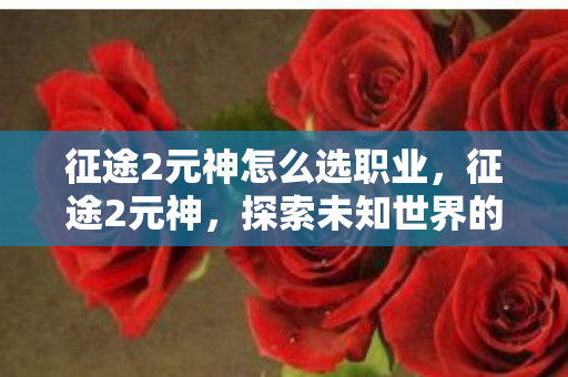 征途2元神怎么选职业，征途2元神，探索未知世界的神秘力量