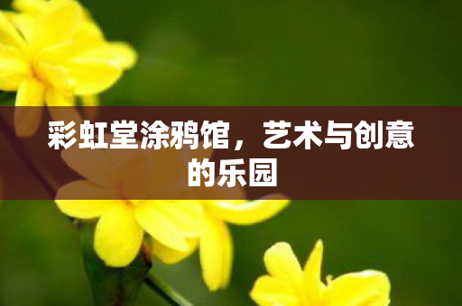 彩虹堂涂鸦馆,艺术与创意的乐园 彩虹堂涂鸦馆,艺术与创意的乐园
