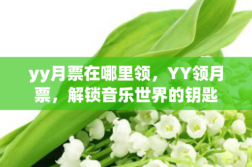 yy月票在哪里领,YY领月票,解锁音乐世界的钥匙 yy月票在哪里领,YY领月票,解锁音乐世界的钥匙