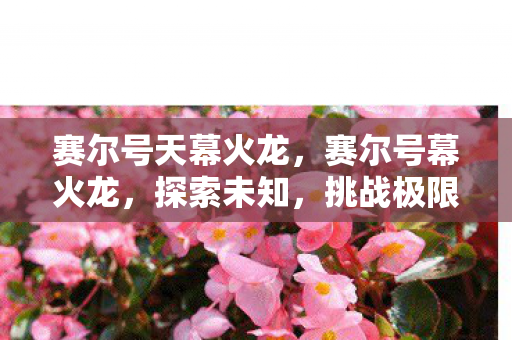赛尔号天幕火龙，赛尔号幕火龙，探索未知，挑战极限