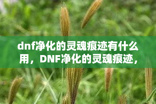 dnf净化的灵魂痕迹有什么用,DNF净化的灵魂痕迹,探索游戏内的神秘力量 dnf净化的灵魂痕迹有什么用,DNF净化的灵魂痕迹,探索游戏内的神秘力量