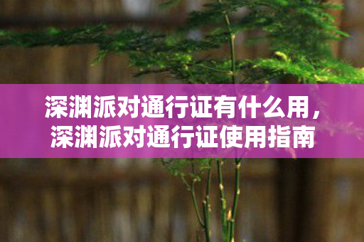 深渊派对通行证有什么用,深渊派对通行证使用指南 深渊派对通行证有什么用,深渊派对通行证使用指南
