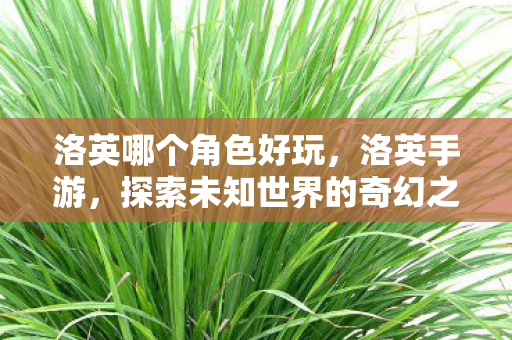 洛英哪个角色好玩,洛英手游,探索未知世界的奇幻之旅 洛英哪个角色好玩,洛英手游,探索未知世界的奇幻之旅