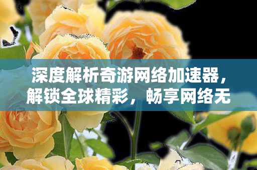 深度解析奇游网络加速器,解锁全球精彩,畅享网络无界的秘密武器 深度解析奇游网络加速器,解锁全球精彩,畅享网络无界的秘密武器