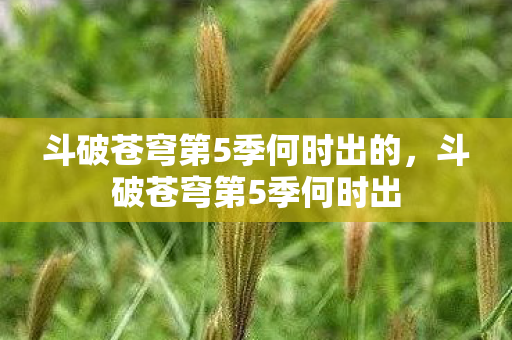 斗破苍穹第5季何时出的,斗破苍穹第5季何时出 斗破苍穹第5季何时出的,斗破苍穹第5季何时出