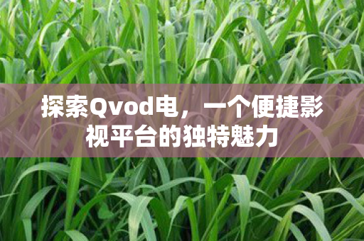 探索Qvod电,一个便捷影视平台的独特魅力 探索Qvod电,一个便捷影视平台的独特魅力