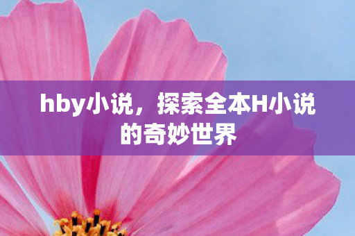 hby小说，探索全本H小说的奇妙世界