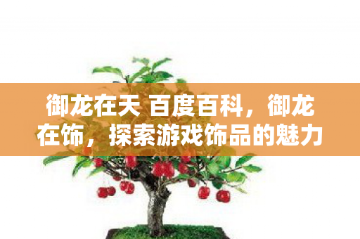 御龙在天 百度百科，御龙在饰，探索游戏饰品的魅力与价值
