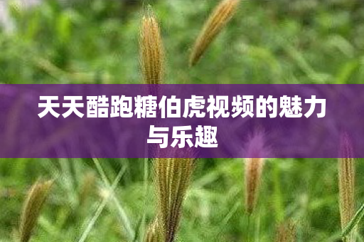 天天酷跑糖伯虎视频的魅力与乐趣 天天酷跑糖伯虎视频的魅力与乐趣