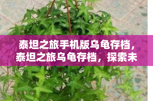 泰坦之旅手机版乌龟存档，泰坦之旅乌龟存档，探索未知世界的珍贵记录