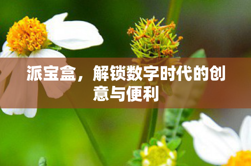 派宝盒,解锁数字时代的创意与便利 派宝盒,解锁数字时代的创意与便利