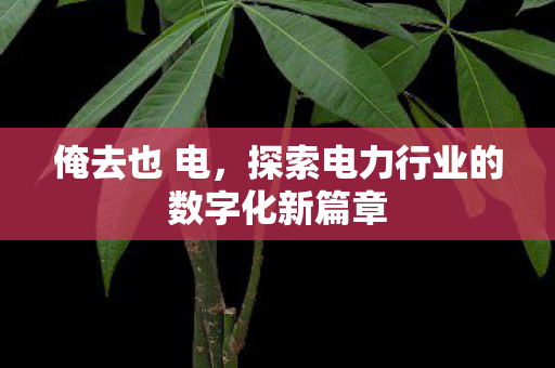 俺去也 电,探索电力行业的数字化新篇章 俺去也 电,探索电力行业的数字化新篇章