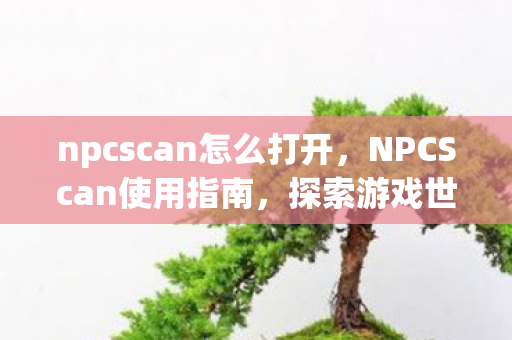npcscan怎么打开，NPCScan使用指南，探索游戏世界的强大工具