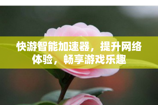快游智能加速器，提升网络体验，畅享游戏乐趣