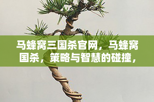 马蜂窝三国杀官网，马蜂窝国杀，策略与智慧的碰撞，重塑经典桌游新体验