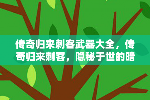 传奇归来刺客武器大全,传奇归来刺客,隐秘于世的暗夜行者 传奇归来刺客武器大全,传奇归来刺客,隐秘于世的暗夜行者
