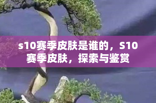 s10赛季皮肤是谁的，S10赛季皮肤，探索与鉴赏