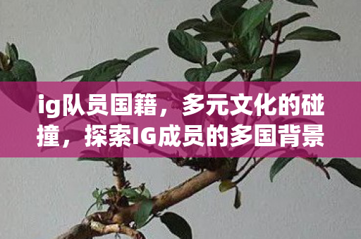 ig队员国籍,多元文化的碰撞,探索IG成员的多国背景 ig队员国籍,多元文化的碰撞,探索IG成员的多国背景