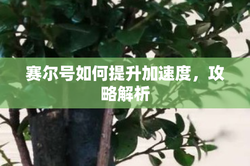 赛尔号如何提升加速度,攻略解析 赛尔号如何提升加速度,攻略解析