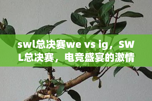 swl总决赛we vs ig，SWL总决赛，电竞盛宴的激情碰撞
