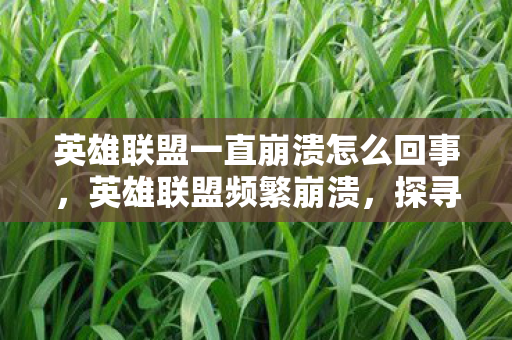 英雄联盟一直崩溃怎么回事，英雄联盟频繁崩溃，探寻背后的原因与解决方案