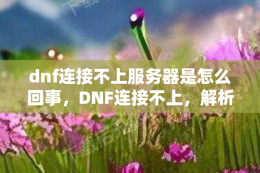 dnf连接不上服务器是怎么回事,DNF连接不上,解析游戏连接问题及其解决方案 dnf连接不上服务器是怎么回事,DNF连接不上,解析游戏连接问题及其解决方案