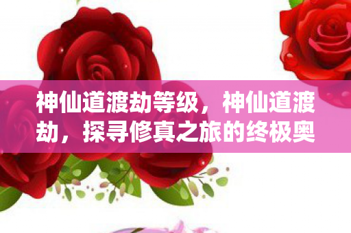 神仙道渡劫等级，神仙道渡劫，探寻修真之旅的终极奥义