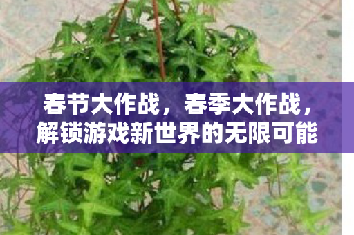 春节大作战，春季大作战，解锁游戏新世界的无限可能