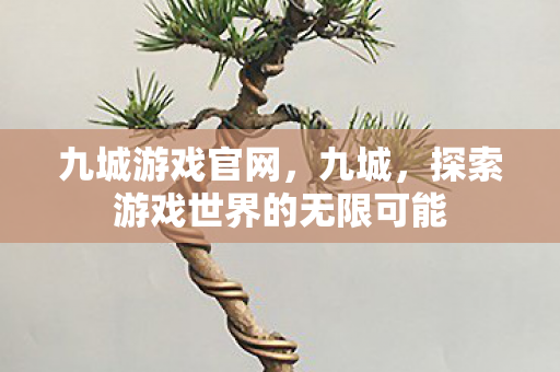 九城游戏官网,九城,探索游戏世界的无限可能 九城游戏官网,九城,探索游戏世界的无限可能