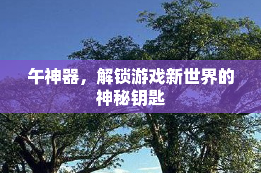 午神器,解锁游戏新世界的神秘钥匙 午神器,解锁游戏新世界的神秘钥匙