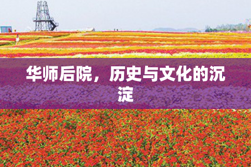 华师后院,历史与文化的沉淀 华师后院,历史与文化的沉淀