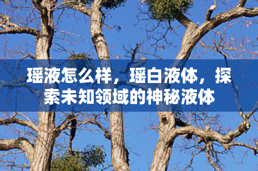 瑶液怎么样,瑶白液体,探索未知领域的神秘液体 瑶液怎么样,瑶白液体,探索未知领域的神秘液体