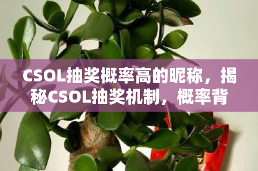 CSOL抽奖概率高的昵称，揭秘CSOL抽奖机制，概率背后的秘密与玩家策略