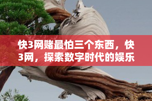 快3网赌最怕三个东西,快3网,探索数字时代的娱乐新风尚 快3网赌最怕三个东西,快3网,探索数字时代的娱乐新风尚