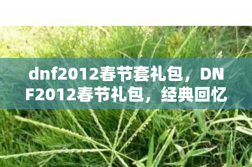 dnf2012春节套礼包，DNF2012春节礼包，经典回忆与游戏情怀的碰撞