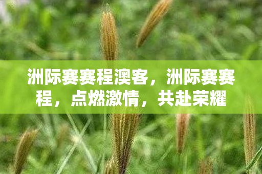 洲际赛赛程澳客，洲际赛赛程，点燃激情，共赴荣耀