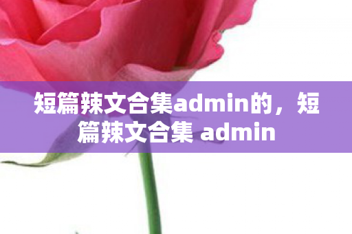 短篇辣文合集admin的，短篇辣文合集 admin