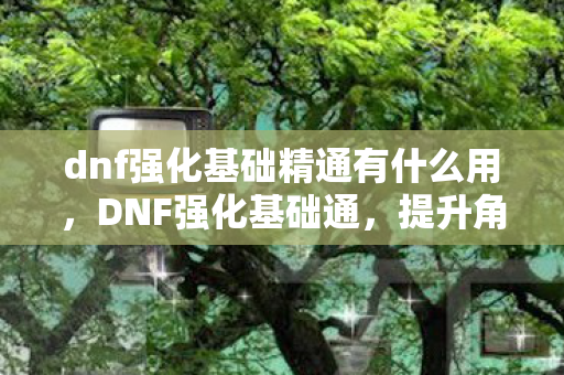 dnf强化基础精通有什么用,DNF强化基础通,提升角色战斗力的关键工具 dnf强化基础精通有什么用,DNF强化基础通,提升角色战斗力的关键工具
