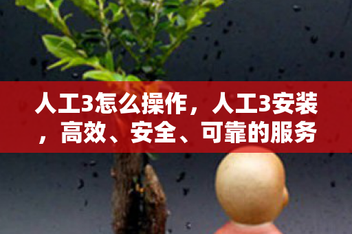 人工3怎么操作，人工3安装，高效、安全、可靠的服务器部署方案