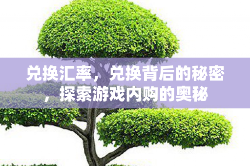 兑换汇率，兑换背后的秘密，探索游戏内购的奥秘