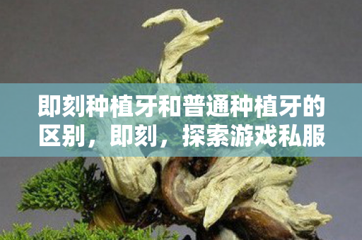 即刻种植牙和普通种植牙的区别,即刻,探索游戏私服的独特魅力与玩家心声 即刻种植牙和普通种植牙的区别,即刻,探索游戏私服的独特魅力与玩家心声