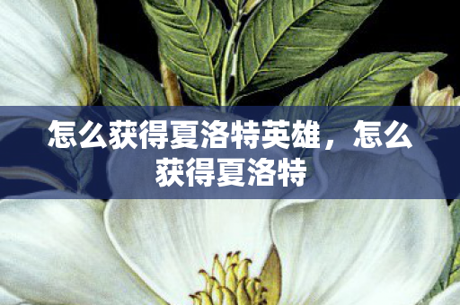 怎么获得夏洛特英雄，怎么获得夏洛特