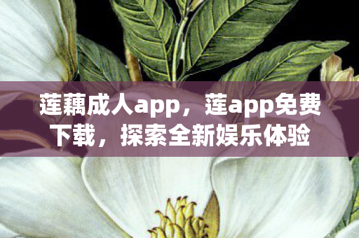 莲藕成人app，莲app免费下载，探索全新娱乐体验