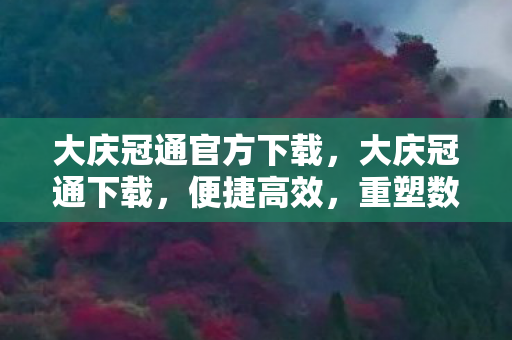 大庆冠通官方下载,大庆冠通下载,便捷高效,重塑数字生活新体验 大庆冠通官方下载,大庆冠通下载,便捷高效,重塑数字生活新体验