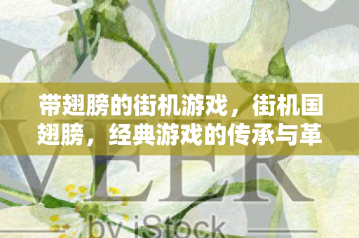 带翅膀的街机游戏,街机国翅膀,经典游戏的传承与革新 带翅膀的街机游戏,街机国翅膀,经典游戏的传承与革新