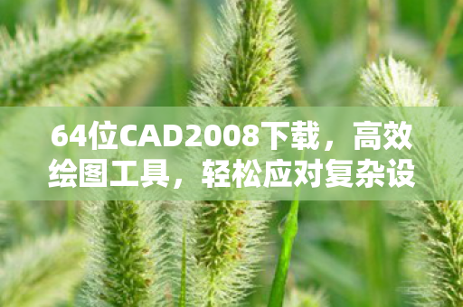 64位CAD2008下载，高效绘图工具，轻松应对复杂设计